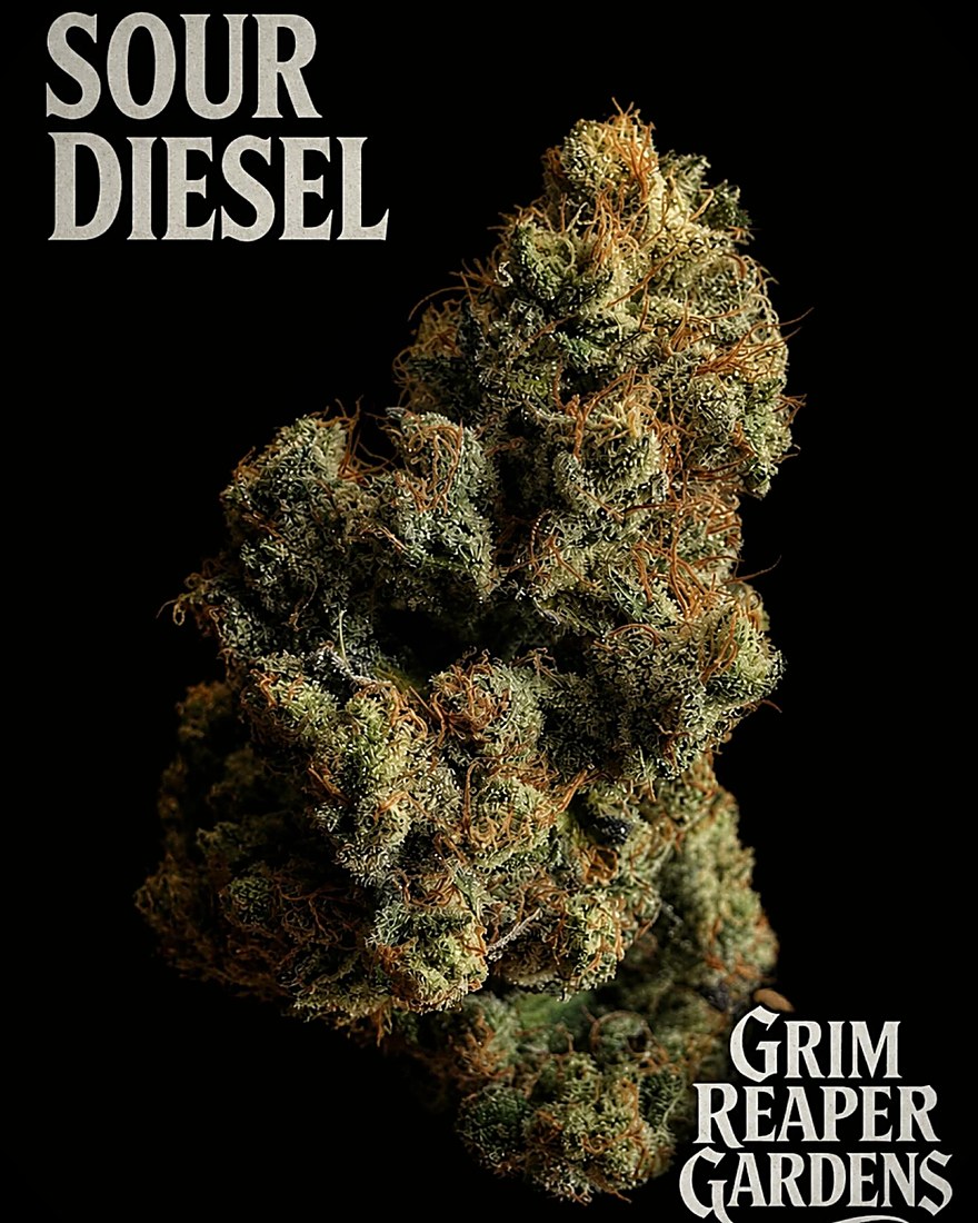 Sour Diesel — cured flower on the house card